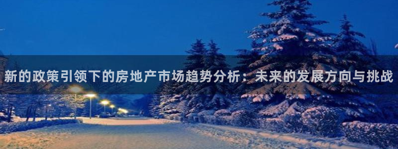 新宝5蒋74OOO5：新的政策引领下的房地产市场趋势分析：未