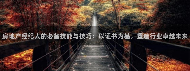 新宝5代理注册：房地产经纪人的必备技能与技巧：以证书为基，塑