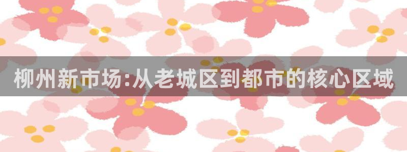 下载新宝5：柳州新市场:从老城区到都市的核心区域