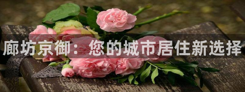 新宝5如何注册：廊坊京御：您的城市居住新选择
