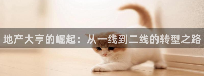 新宝5 唯一：地产大亨的崛起：从一线到二线的转型之路