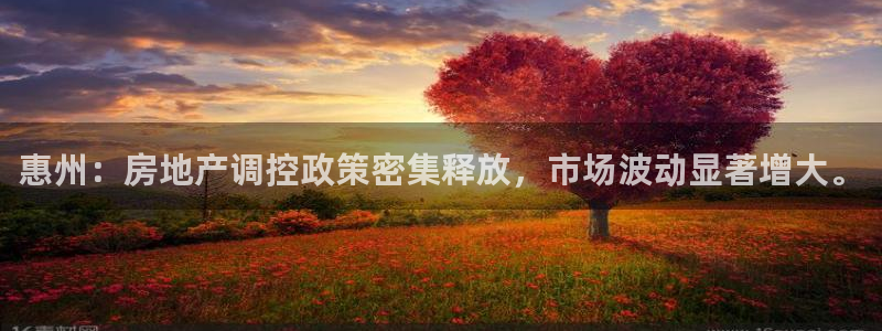 新宝5登录平台：惠州：房地产调控政策密集释放，市场波动显著增