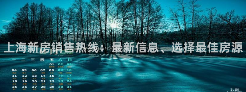 新宝堂新会陈皮5年：上海新房销售热线：最新信息、选择最佳房源