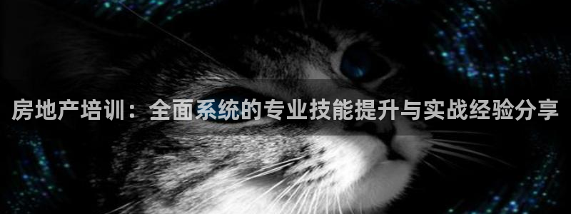 新宝5骗术：房地产培训：全面系统的专业技能提升与实战经验分享