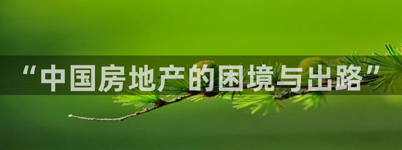新宝5平台注册：“中国房地产的困境与出路”