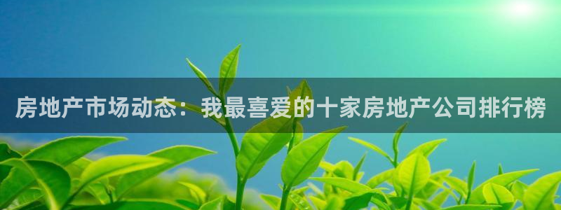 新宝5测：房地产市场动态：我最喜爱的十家房地产公司排行榜