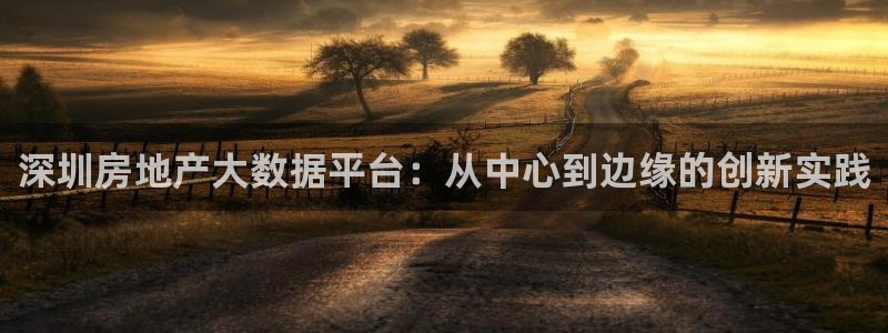 新宝5天：深圳房地产大数据平台：从中心到边缘的创新实践