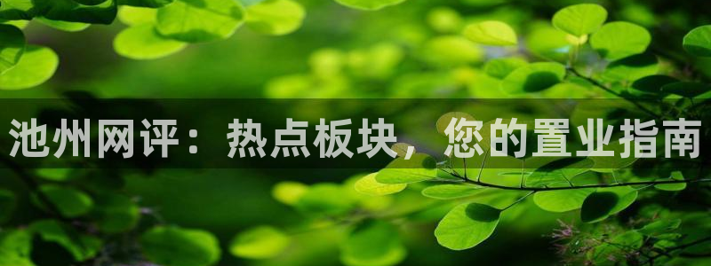 新宝5注册链接：池州网评：热点板块，您的置业指南