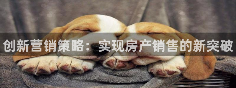 新宝5娱乐招商：创新营销策略：实现房产销售的新突破