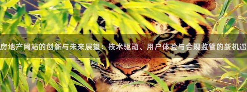 新宝5网：房地产网站的创新与未来展望：技术驱动、用户体验与合