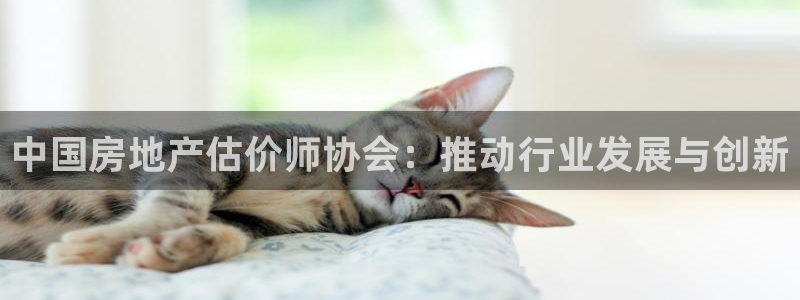 新宝5娱乐然：中国房地产估价师协会：推动行业发展与创新