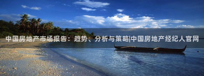 新宝5 - 测速登陆：中国房地产市场报告：趋势、分析与策略|