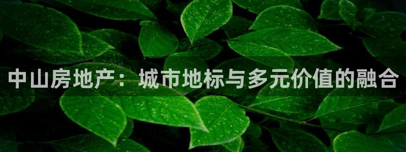 新宝5-：中山房地产：城市地标与多元价值的融合