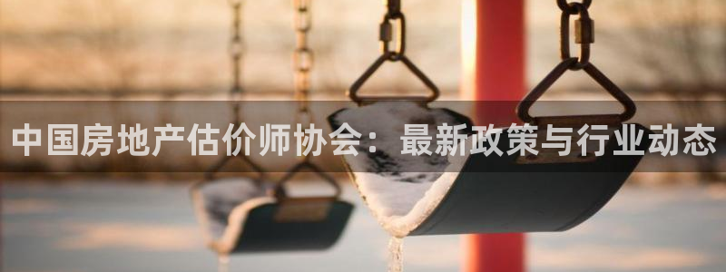 新宝5是什么：中国房地产估价师协会：最新政策与行业动态