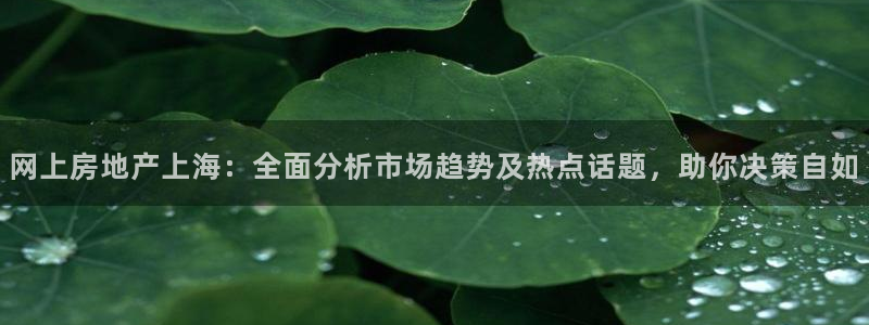 新宝5尤74OOO5：网上房地产上海：全面分析市场趋势及热点
