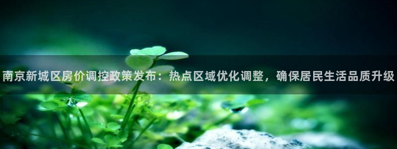 新宝5是什么样子的：南京新城区房价调控政策发布：热点区域优化
