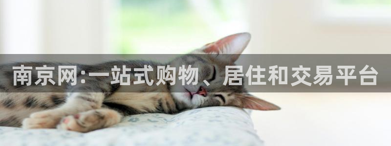新宝5彩票是正规平台吗：南京网:一站式购物、居住和交易平台