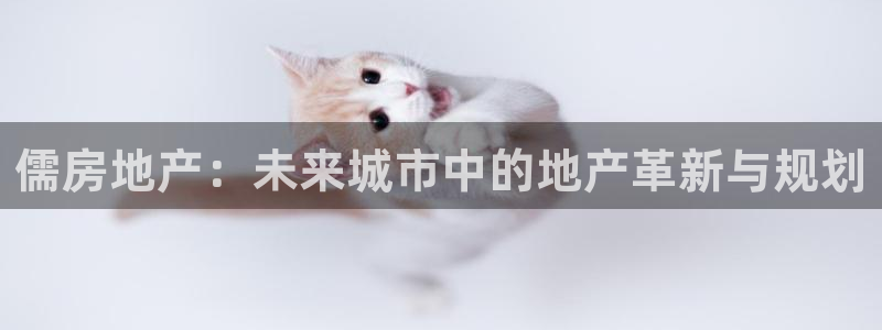 新宝rm5：儒房地产：未来城市中的地产革新与规划