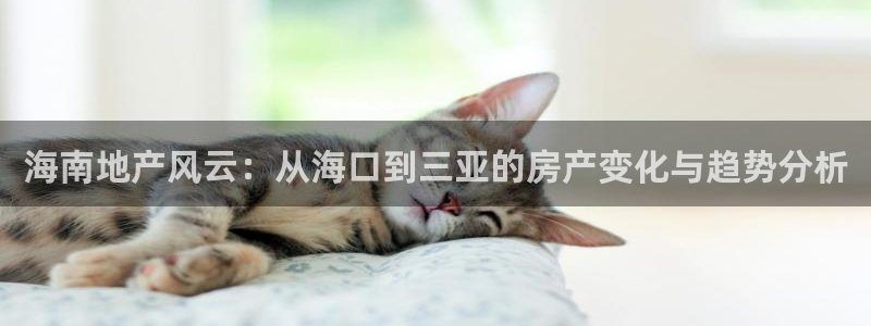 新宝5源码：海南地产风云：从海口到三亚的房产变化与趋势分析