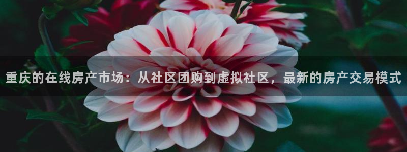 新宝5手机版：重庆的在线房产市场：从社区团购到虚拟社区，最新