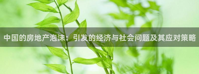 菲律宾新宝5老板：中国的房地产泡沫：引发的经济与社会问题及其