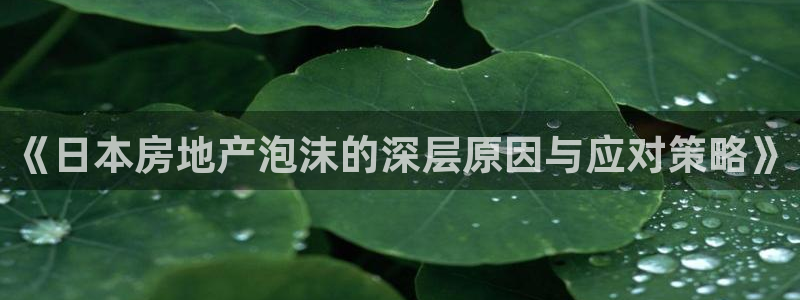 新宝5安卓版：《日本房地产泡沫的深层原因与应对策略》