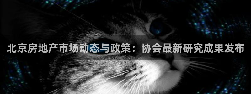 新宝5 注册：北京房地产市场动态与政策：协会最新研究成果发布