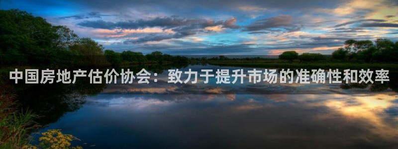 新宝5娱乐登陆：中国房地产估价协会：致力于提升市场的准确性和
