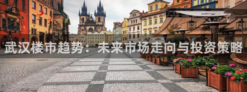 新宝5导师：武汉楼市趋势：未来市场走向与投资策略