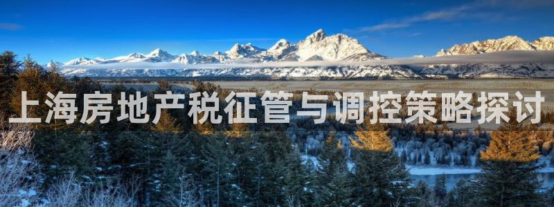 新宝5唯一：上海房地产税征管与调控策略探讨