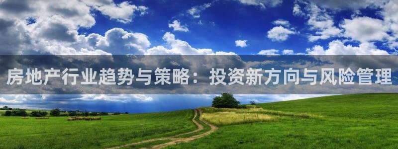 新宝5主管：房地产行业趋势与策略：投资新方向与风险管理