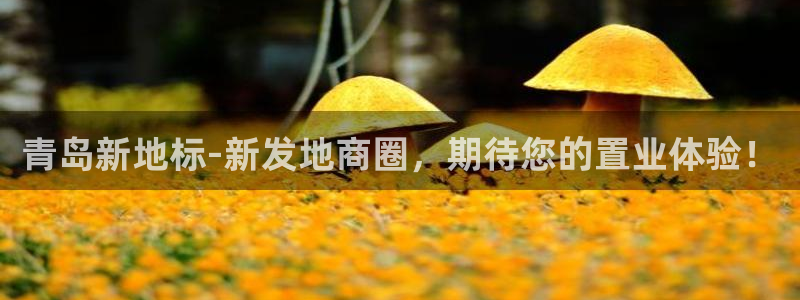 新宝5测速在线：青岛新地标-新发地商圈，期待您的置业体验！