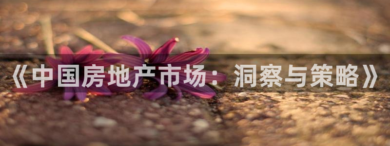 新宝5后：《中国房地产市场：洞察与策略》