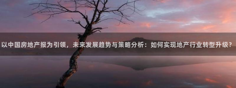 新宝集团新宝5：以中国房地产报为引领，未来发展趋势与策略分析