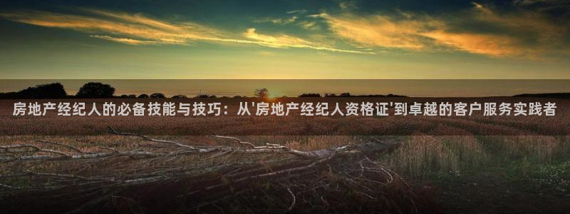 新宝5开好：房地产经纪人的必备技能与技巧：从\'房地产经纪人
