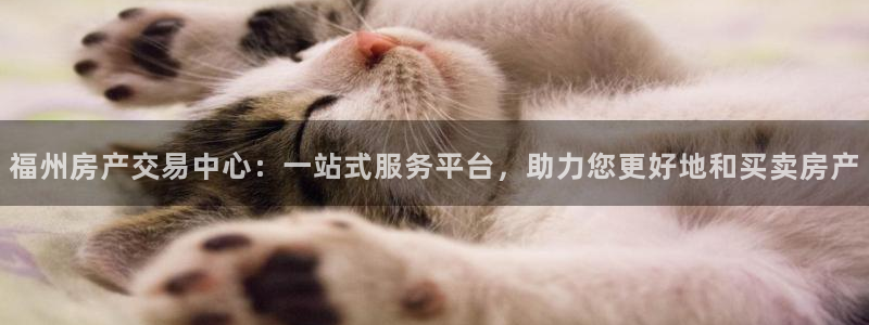 新宝5平台登录：福州房产交易中心：一站式服务平台，助力您更好