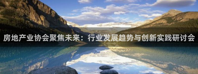 新宝5官方：房地产业协会聚焦未来：行业发展趋势与创新实践研讨