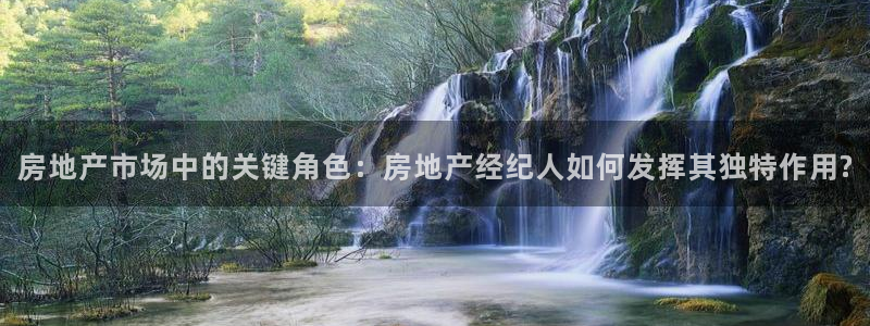 新宝5客户端登录：房地产市场中的关键角色：房地产经纪人如何发