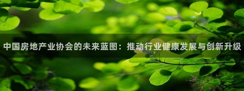 老新宝5授权登录：中国房地产业协会的未来蓝图：推动行业健康发