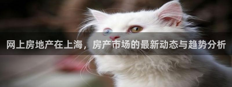 新宝5黑彩：网上房地产在上海，房产市场的最新动态与趋势分析