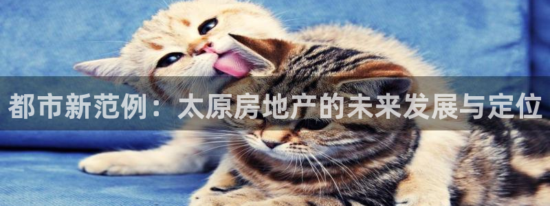 新宝_5：都市新范例：太原房地产的未来发展与定位