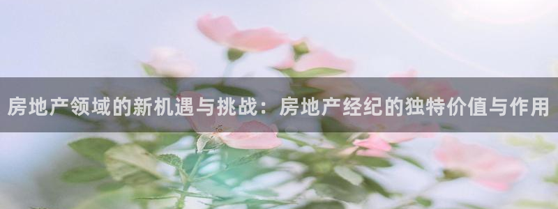 新宝5下载：房地产领域的新机遇与挑战：房地产经纪的独特价值与