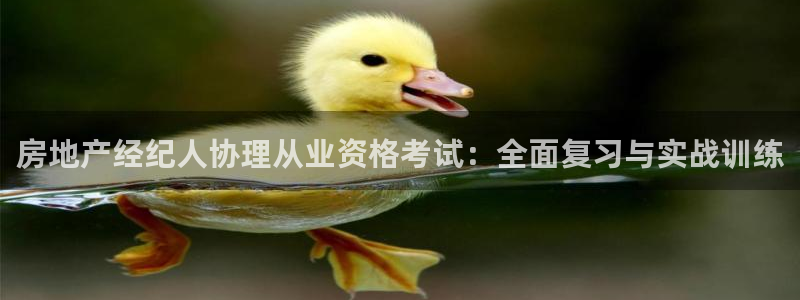 新宝5娱乐然：房地产经纪人协理从业资格考试：全面复习与实战训