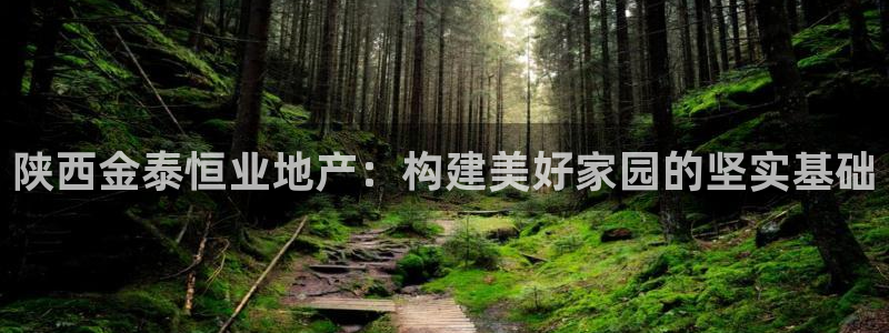 新宝5测登录：陕西金泰恒业地产：构建美好家园的坚实基础