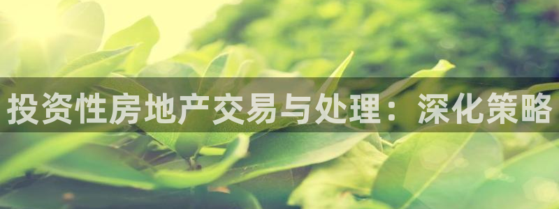新宝5招商：投资性房地产交易与处理：深化策略