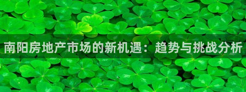 新宝5招商部：南阳房地产市场的新机遇：趋势与挑战分析