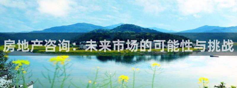新宝5登录不了：房地产咨询：未来市场的可能性与挑战