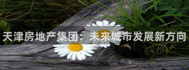 新宝5下载到桌面：天津房地产集团：未来城市发展新方向