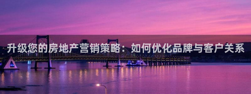 新宝5手机下载：升级您的房地产营销策略：如何优化品牌与客户关