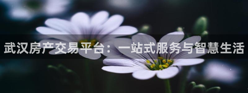 新宝5主管：武汉房产交易平台：一站式服务与智慧生活